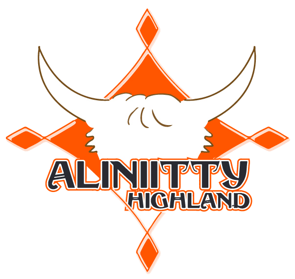 Aliniitty Highland